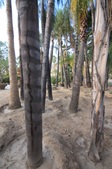 Enlarge photo 28