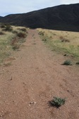 Enlarge photo 33
