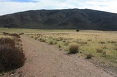 Enlarge photo 36
