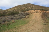 Enlarge photo 43