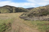 Enlarge photo 41