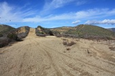Quail Trail