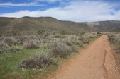 Enlarge photo 21