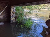 Enlarge photo 15