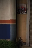 Enlarge photo 55