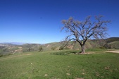 Enlarge photo 34