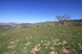 Enlarge photo 39