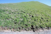 Enlarge photo 41