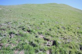 Enlarge photo 42