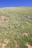 Enlarge photo 45