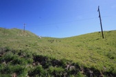 Enlarge photo 50