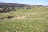Enlarge photo 51