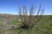 Enlarge photo 31