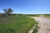 Enlarge photo 33