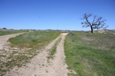 Enlarge photo 35