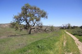 Enlarge photo 36