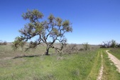 Enlarge photo 37