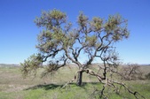 Enlarge photo 38