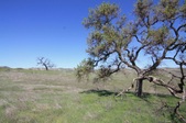 Enlarge photo 39