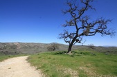 Enlarge photo 40