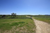 Enlarge photo 41