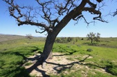 Enlarge photo 42