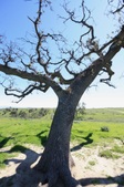 Enlarge photo 43