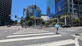 Enlarge photo 51