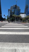 Enlarge photo 52