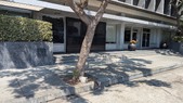 Enlarge photo 36