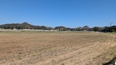 Enlarge photo 36