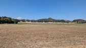 Enlarge photo 37