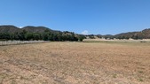 Enlarge photo 38