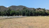 Enlarge photo 39