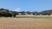 Enlarge photo 40