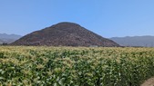 Farm with mountain