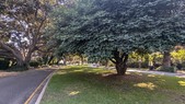 Enlarge photo 36