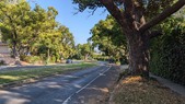 Enlarge photo 40