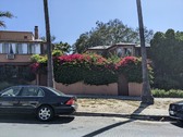 Enlarge photo 37