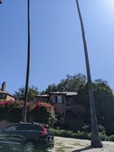 Enlarge photo 41