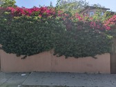 Enlarge photo 42