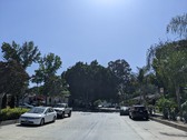Enlarge photo 51