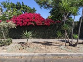 Enlarge photo 62