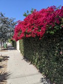 Enlarge photo 64