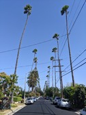 Enlarge photo 67