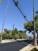 Enlarge photo 77