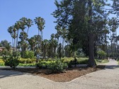 Enlarge photo 34