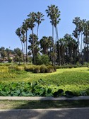 Enlarge photo 35