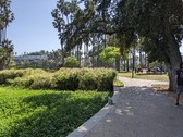 Enlarge photo 36