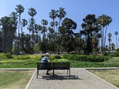 Enlarge photo 41